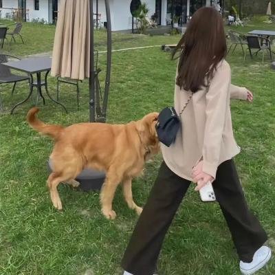 香吻一夕话