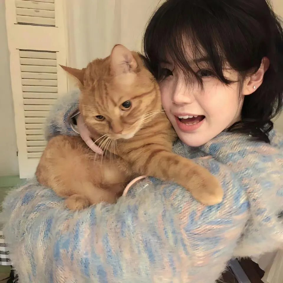 神经刀与飞天猫